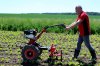 Malotraktor VARI IV Global (motor KOHLER CV224)