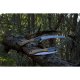 Silky Gomboy Curve Professional 240-8 Outback Edition